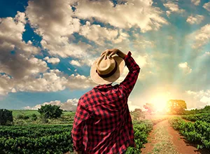 ng28专注可视化页面结构，优化用户体验，为用户提供专业可靠的体验。 - ng28